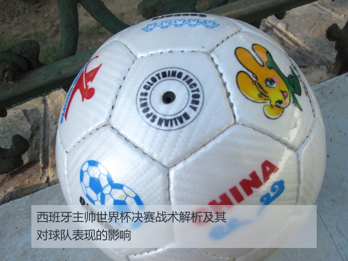西班牙主帅世界杯决赛战术解析及其对球队表现的影响